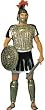 Roman Soldier Armour Adult Costume