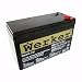 Werker 01272 WKA12-7.5F Emergency Light Battery
