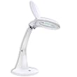 Natural Daylight Dual Magnification Desk Lamp