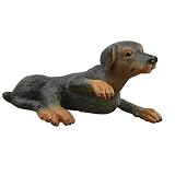 Small Doberman Pinscher Puppy Model
