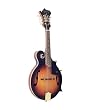 CSD-20 F-Style Mandolin, Sunburst, Pro Model, Free Shipping