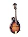 CSD-20 F-Style Mandolin, Sunburst, Pro Model, Free Shipping