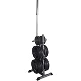 Valor Fitness BH-9 Olympic Plate Tree Stand 2BH0091BM
