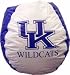 Kentucky Wildcats Collegiate Bean Bag Chair