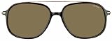 TOM FORD Sophien TF 150 Sunglasses TF150 Transparent Brown 48J Shades
