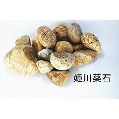肩こり、腰痛に　ラジウム鉱石　 (姫川薬石)　糸魚川産 大小詰め合わせ　300グラム オマケ付き(閃ウラン鉱・ ニニギ石)20g