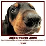 The Dog Dobermann