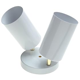 Two Light Multi Directional Ceiling Fixture, Plated Brass by Angelo-Westinghouse
