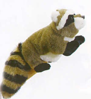 Childrens Toyshop  Toys : Plush Rocco Raccoon Body Puppet 12"