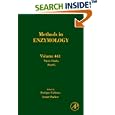 Nitric Oxide, Part G, Volume 441 (Methods in Enzymology) (Methods in Enzymology) by  Enrique Cadenas and Lester Packer