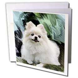 image link -  - B002JSS792