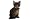 www.kunstofffenster.com - gro�es Fensterbild Katze selbstklebend Wiederverwendbar ! Tattoo Zimmer Kinderzimmer Kinder Deko Dekoration Bilder Fenstersticker Sticker Aufkleber Fensteraufkleber Tier Haustier K�tzchen Kater
