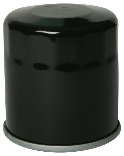 Purolator ML16818 Black Motorcycle Oil Filter (Pack of 2)