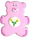 Beautiful Cookies Organic Party Favors-Pink Carebear Organic Cookies Cookies, 10 Cookies