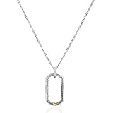 Sterling Steel 18K Yellow Gold Tag Necklace 22