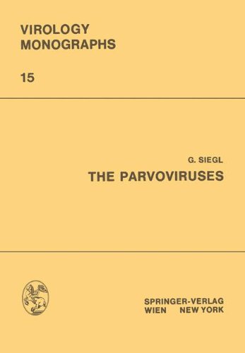 The Parvoviruses (Virology Monographs   Die Virusforschung in Einzeldarstellungen) (Volume 15)