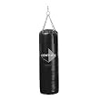 Century 100-Pound Vinyl Heavy Bag (Bag Only)