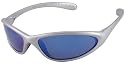 Nike Tarj Classic.R Sunglasses, EV0055-002, Silver Ice Frame/ Gray Lenses/ Blue Flash