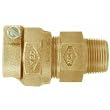 AY McDonald 4753-22 CTS Polyethylene Tubing Connector (CTS X M.I.P.T.)