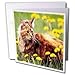 Cats - Cat In The Flower Field - Greeting Cards-12 Greeting Cards with envelopes