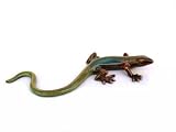 Gecko Wall Plaque, Multi Color, 7 1/2 in
