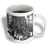 Wawaon Tree at Maraposa Grove Yosemite National Park - 15oz Mug