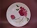 Southern Potteries Incorporated Blue Ridge Dinnerware
