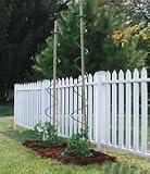CAGE VEGGIE