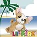 Chihuahua Lil 'Kinz