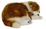 Life-like Curled Up Sleeping Red & White Collie Puppy Decoration