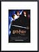 Harry Potter and the Chamber of Secrets, Art Poster with Metal Frame, poster size: 11