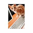 PET PROOF - Clear Acrylic Keyboard Protection Cover