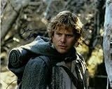 Astin, Sean - Signed 8x10