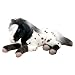 Sprinkles Plush Appaloosa Filly Horse