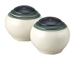 Pfaltzgraff Ocean Breeze Salt Shaker (Single Piece Only for Replacement)