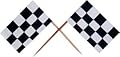 SALE Racing Flag Picks SALE