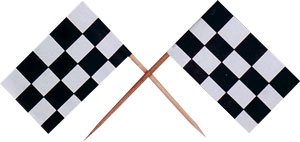 SALE Racing Flag Picks SALE
