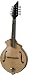BreedloveCascade KF Mandolin, Made in U.S.A.