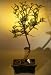 Bald Cypress Bonsai Tree - Coiled Trunk<br><i>(taxodium distichum)</i>