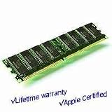 Flex 1GB PC3200 Memory Module