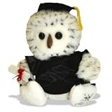 Shining Star Graduation Owl