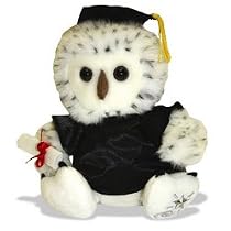 Shining Star Graduation Owl