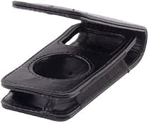 Cellular Innovations Leather Case for iPod nano 1G (Black)