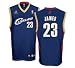 NBA Cleveland Cavaliers Lebron James Replica Jersey by Addidas (Adult Medium)