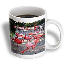 Flamingos - 15oz Mug