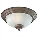 31BbY CIj3L. SL160  Ceiling Fan Light Kit in Old Chicago