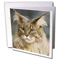 image link - - B002TE0AUU