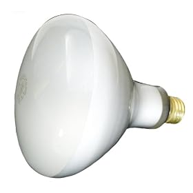 Hayward Underwater Lights and Accessories Replacement Parts 300W. 120V. Bulb R-40
