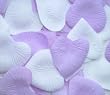 Heart Shaped Silk Rose Petals Wedding Favors Decor - 200 Count - Lavender & White