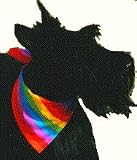 Small Pride Bandanas